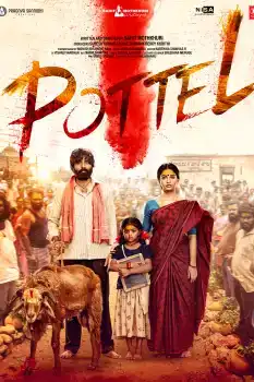 Pottel